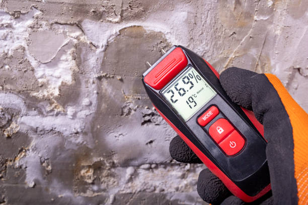 Best Mold Removal Near Me  in Exmore, VA