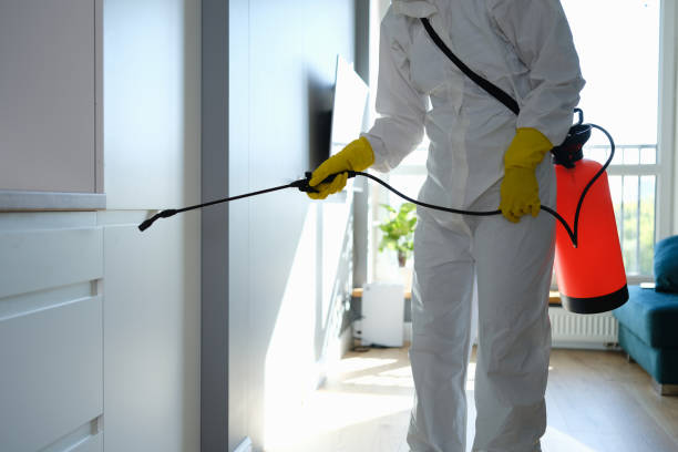 Best Mold Testing  in Exmore, VA