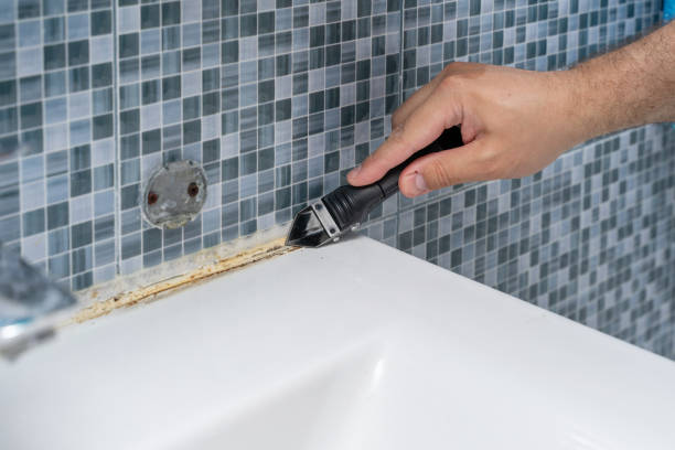 Best Same-Day Mold Removal  in Exmore, VA