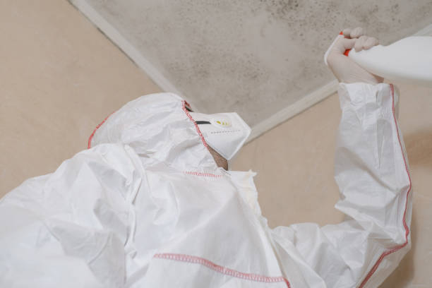 Best Crawl Space Mold Removal  in Exmore, VA