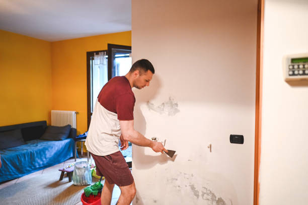 Best Toxic Mold Removal  in Exmore, VA